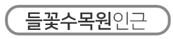 ɼ