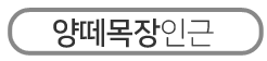 綼α
